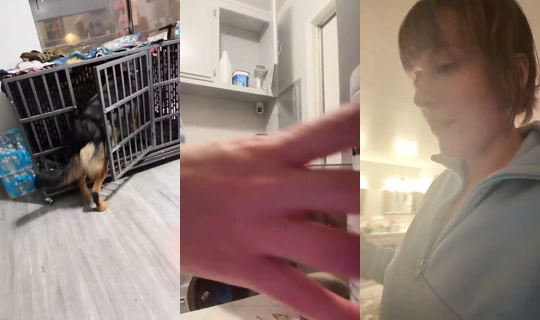 1157826680493056000 LiveMe Live — Sep 21, 2026, 5:24 AM