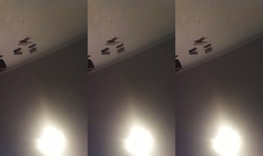 1224759386409410561 LiveMe Live — Sep 29, 2026, 2:58 PM
