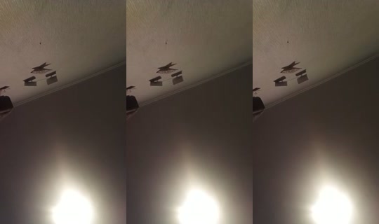 1224759386409410561 LiveMe Live — Sep 29, 2026, 3:14 PM