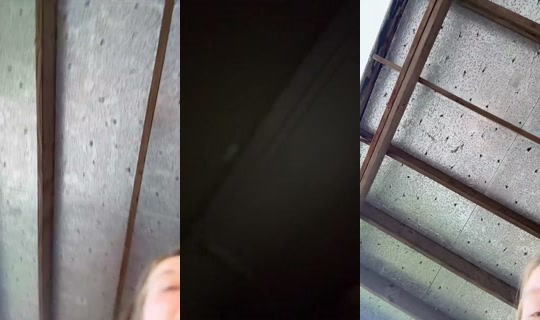 1590591162953218049 LiveMe Live — Oct 8, 2026, 10:36 PM