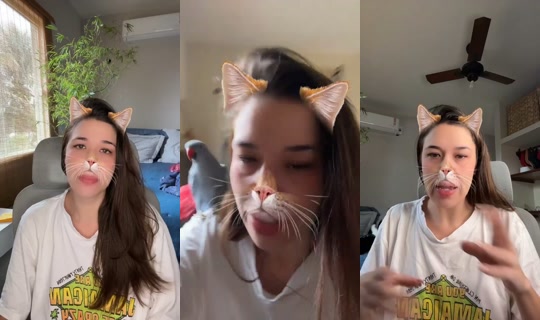 1628696508597264385 LiveMe Live — Sep 15, 2026, 12:13 PM