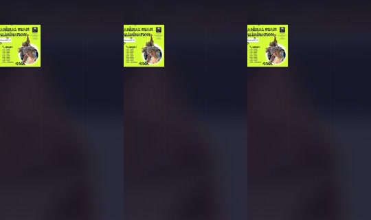 1669438603046870017 LiveMe Live — Sep 26, 2026, 3:52 AM