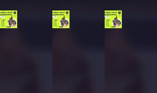 1669438603046870017 LiveMe Live — Sep 27, 2026, 4:03 PM