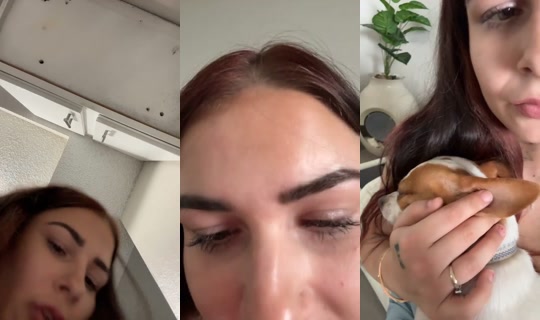 1682126166693164033 LiveMe Live — Aug 26, 2026, 6:06 PM