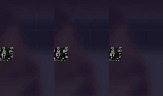 1689785443838768129 LiveMe Live — Oct 11, 2026, 7:09 AM
