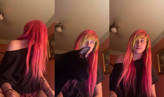 1714393859736832001 LiveMe Live — Sep 8, 2026, 10:17 AM