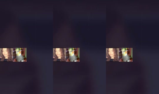1725556153522115585 LiveMe Live — Sep 28, 2026, 8:09 AM