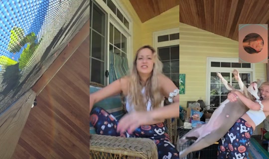 1726417972296348673 LiveMe Live — Oct 27, 2026, 4:55 PM