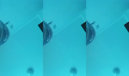 1760665481829359617 LiveMe Live — Sep 18, 2026, 12:56 PM