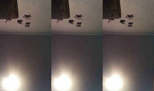 1760665481829359617 LiveMe Live — Sep 25, 2026, 1:21 PM
