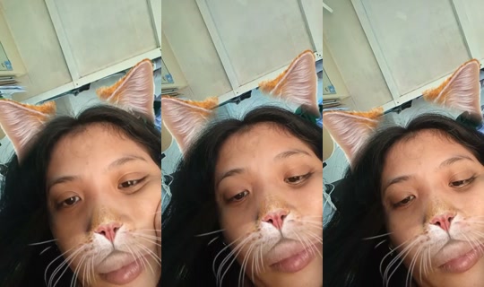 1799029070705508353 LiveMe Live — Sep 28, 2026, 7:54 AM