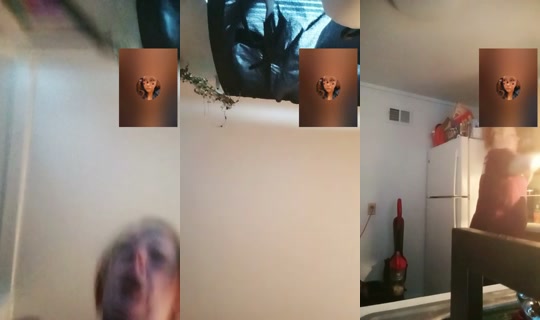 1802555599018921985 LiveMe Live — Oct 10, 2026, 11:30 AM