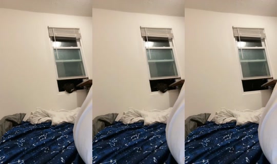 1900428047125558273 LiveMe Live — Sep 10, 2026, 1:32 AM
