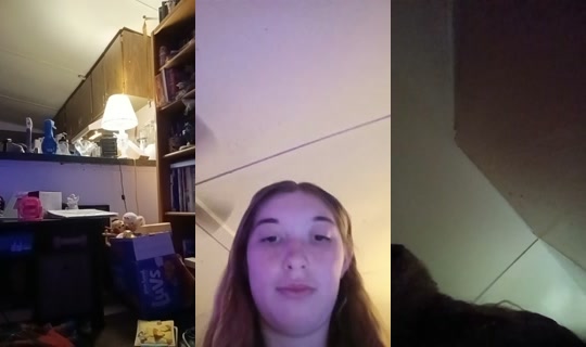 1910541721247990785 LiveMe Live — Oct 22, 2026, 3:55 AM