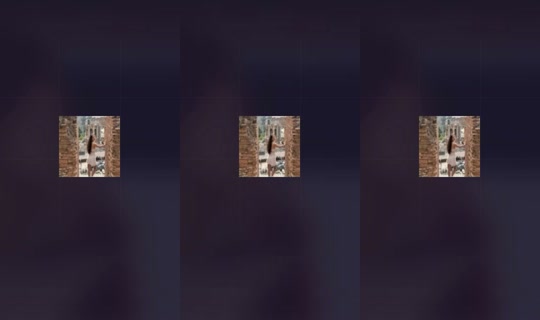 1930372165941699585 LiveMe Live — Oct 11, 2026, 1:52 AM