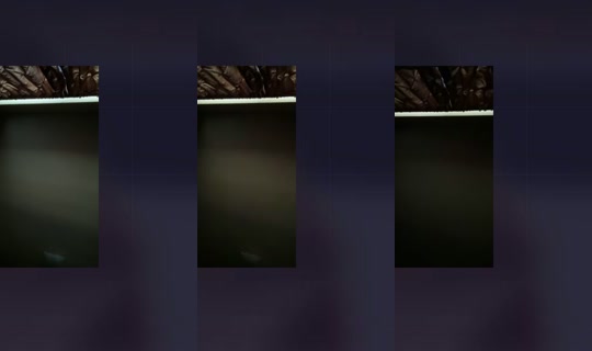1951822383388790785 LiveMe Live — Sep 28, 2026, 10:45 PM