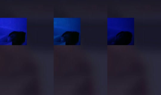 1953365226543228929 LiveMe Live — Sep 20, 2026, 1:24 PM