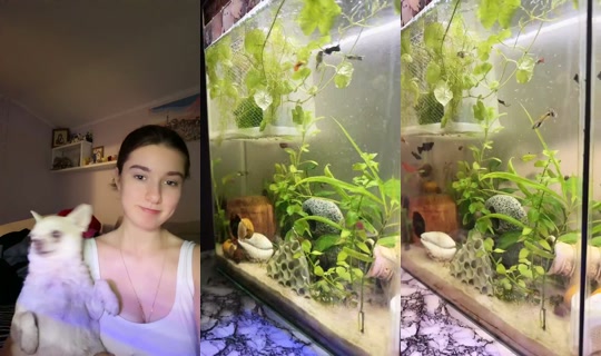 1956335195725407233 LiveMe Live — Sep 14, 2026, 4:54 PM