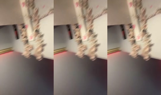 1969461273083744257 LiveMe Live — Sep 6, 2026, 4:40 PM