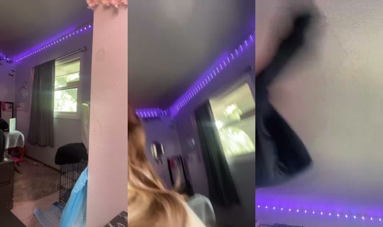 1969461273083744257 LiveMe Live — Sep 8, 2026, 3:56 PM