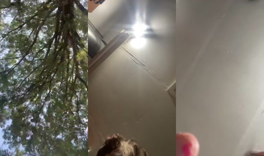 1969461273083744257 LiveMe Live — Sep 8, 2026, 5:41 PM
