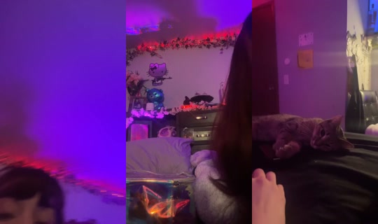 1969461273083744257 LiveMe Live — Sep 26, 2026, 12:17 AM