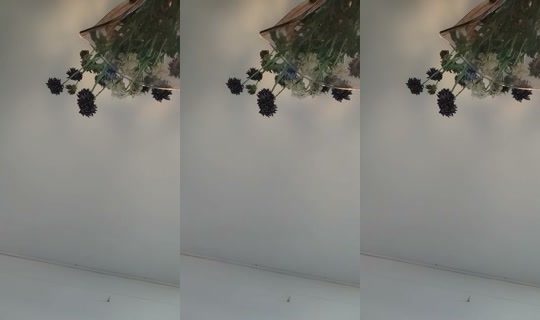 1984810663612327937 LiveMe Live — Sep 17, 2026, 5:20 AM