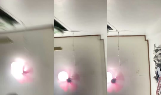 1995128356888349697 LiveMe Live — Sep 24, 2026, 12:12 PM