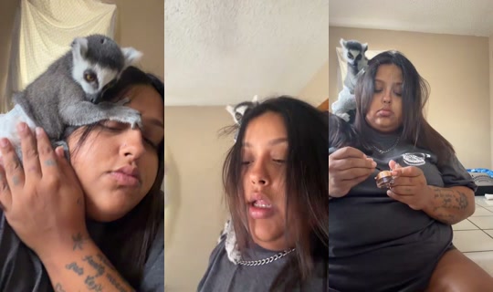 2044530618456455169 LiveMe Live — Aug 30, 2026, 5:48 PM