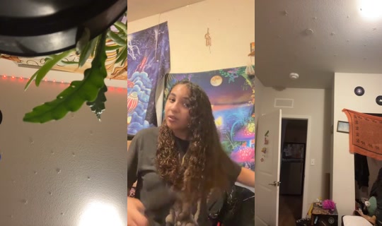 2060461060840174593 LiveMe Live — Oct 30, 2026, 2:15 AM