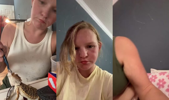 2081622611201438721 LiveMe Live — Aug 25, 2026, 9:40 PM