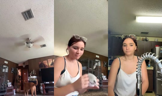 2084866858623634433 LiveMe Live — Aug 22, 2026, 4:09 PM