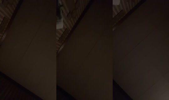 2088350447994604545 LiveMe Live — Sep 7, 2026, 7:47 AM