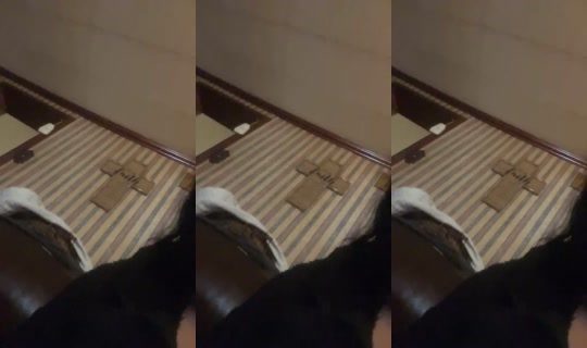 2088350447994604545 LiveMe Live — Sep 16, 2026, 8:13 PM