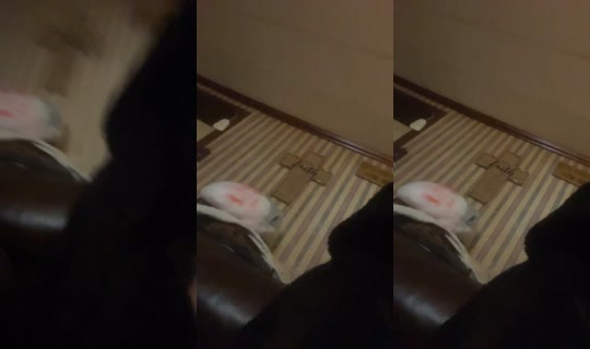 2088350447994604545 LiveMe Live — Sep 22, 2026, 4:14 PM