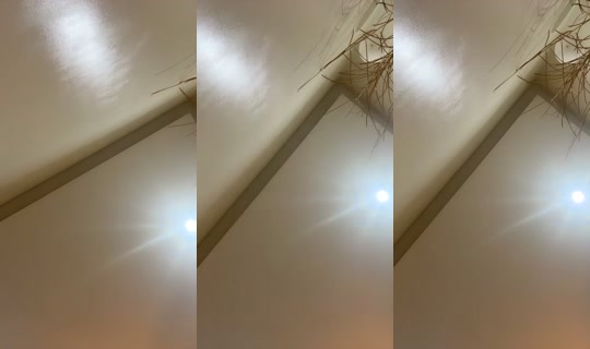 2093649054821977089 LiveMe Live — Aug 31, 2026, 1:07 AM