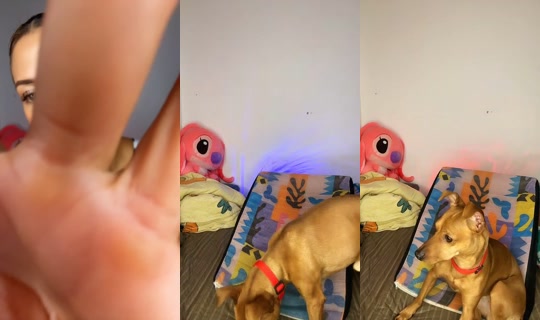 2099882483514957825 LiveMe Live — Oct 20, 2026, 11:09 AM