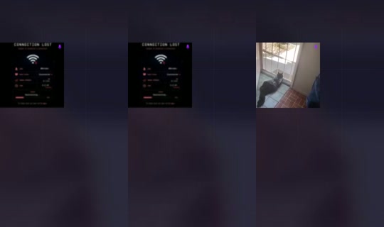 805109347364896768 LiveMe Live — Oct 20, 2026, 6:21 PM